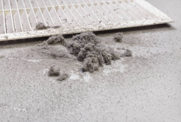 Best Air Vent Cleaning Services  in Delafield, WI