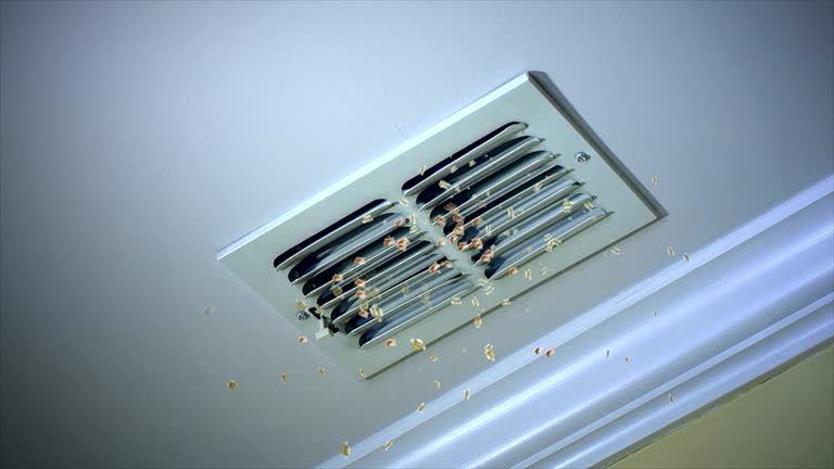 Best HVAC Duct Inspection Services  in Delafield, WI