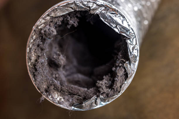 Best Affordable Duct Cleaning Services  in Delafield, WI